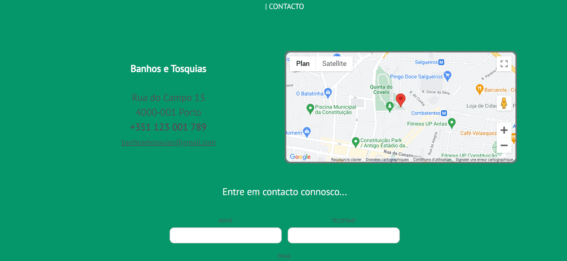 Website project