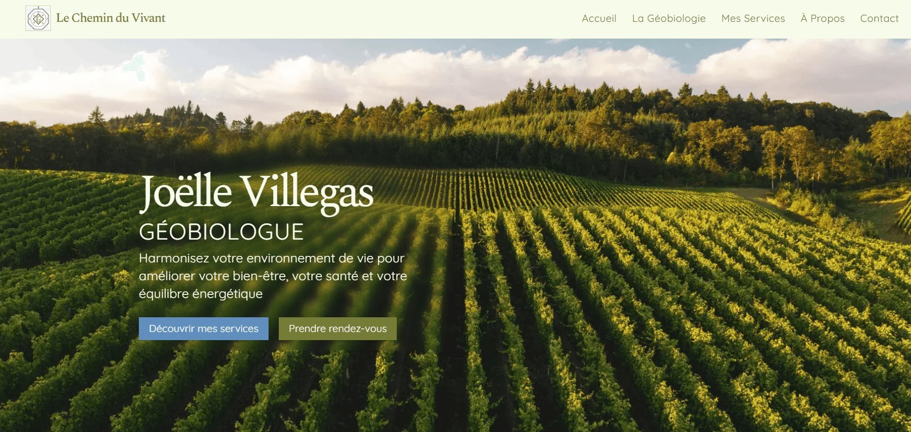 Website project