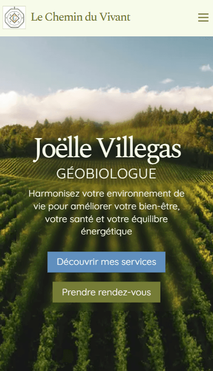 Website project